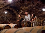 City Tour and Visit to Concha y Toro Winery