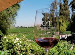 Concha y Toro Classic Winery Tour