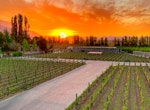 Excursión de Vinos Alyan Sunset desde Santiago