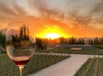 Excursión de Vinos Alyan Sunset desde Santiago