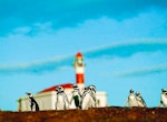 Tour en Bote por la Isla Magdalena desde Punta Arenas